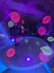 shared20image2010 1759609997 10-Foot Glow-In-The-Dark Bubble House